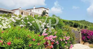 von_poll_real_estate_property_IT252942118_image_31