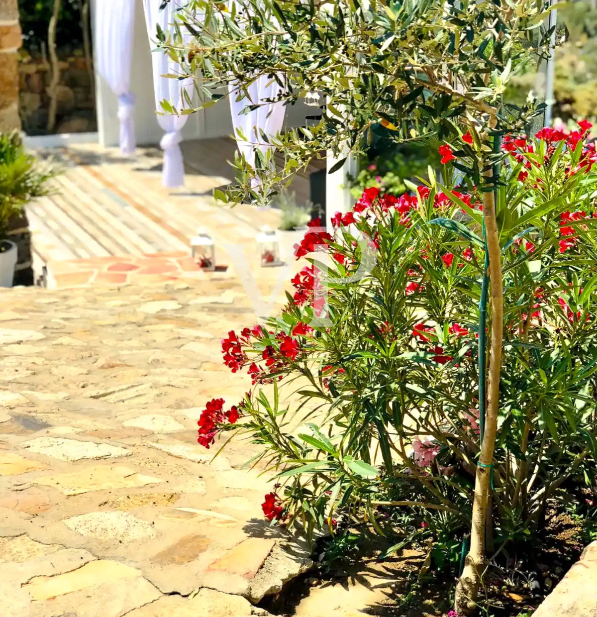 Exclusive villa with direct access to private beach