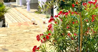 von_poll_real_estate_property_IT252942118_image_99