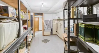 von_poll_real_estate_property_IT252942146_image_45