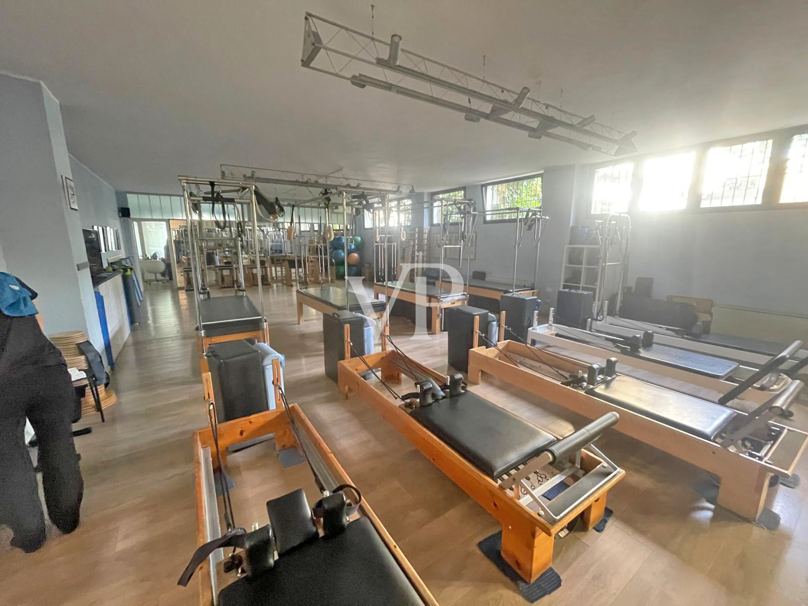 Palestra