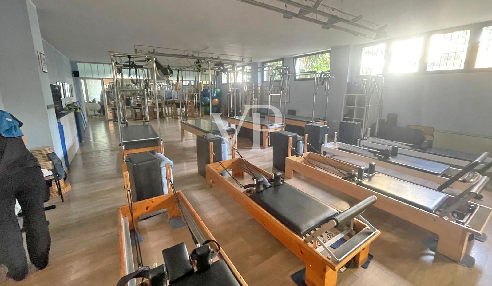 Palestra