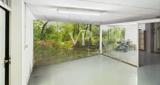 von_poll_real_estate_property_IT252942146_image_49