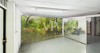 von_poll_real_estate_property_IT252942146_image_49