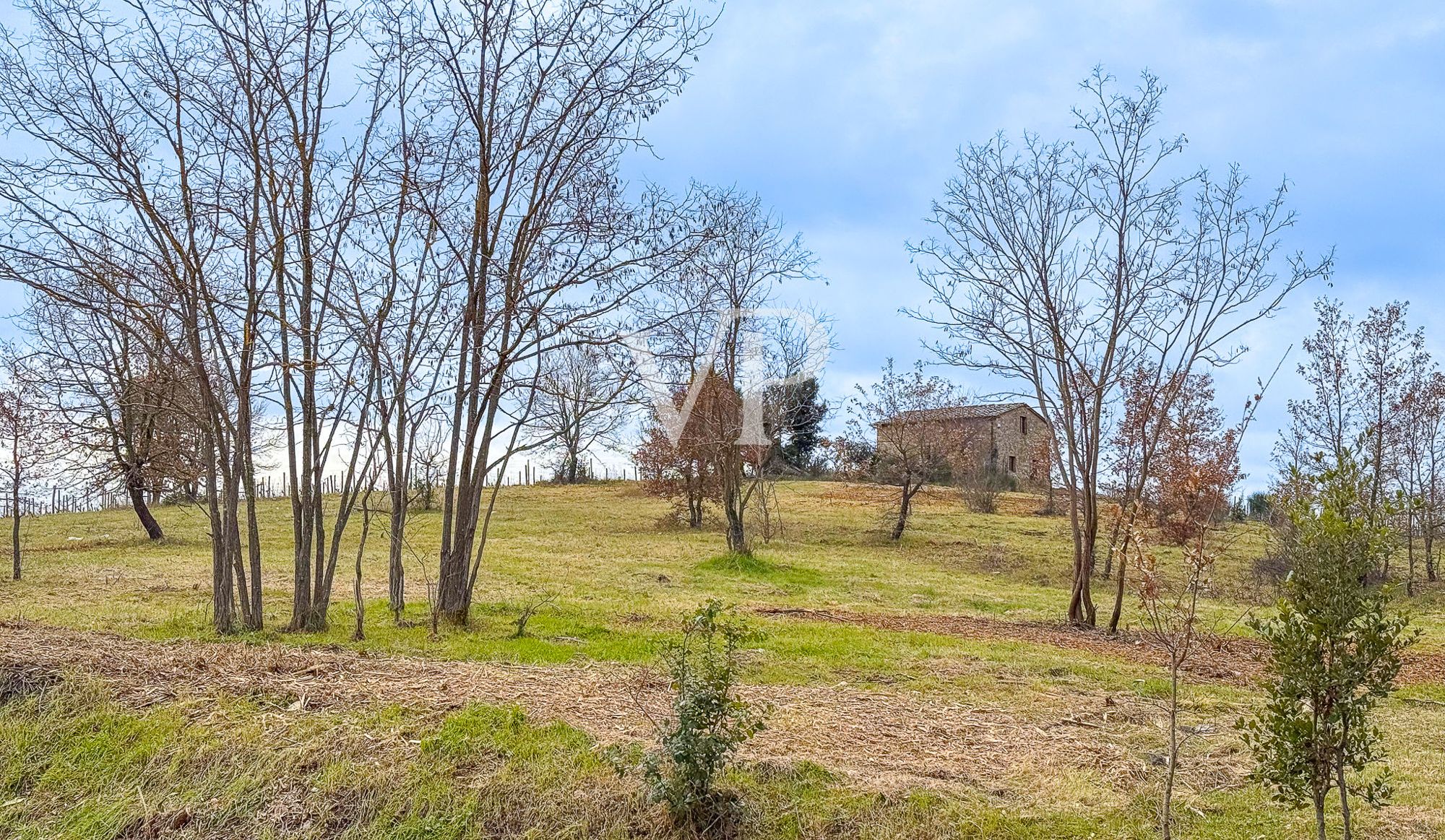 PODERE CAPRAIA
Castelnuovo Berardenga (SI) - Consorcio Villa Arceno
Una propiedad exclusiva en el corazón del Chianti Senese