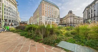 von_poll_real_estate_property_IT252942181_image_45