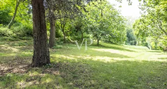 von_poll_real_estate_property_IT254152201_image_20