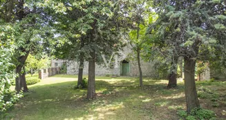 von_poll_real_estate_property_IT254152201_image_21