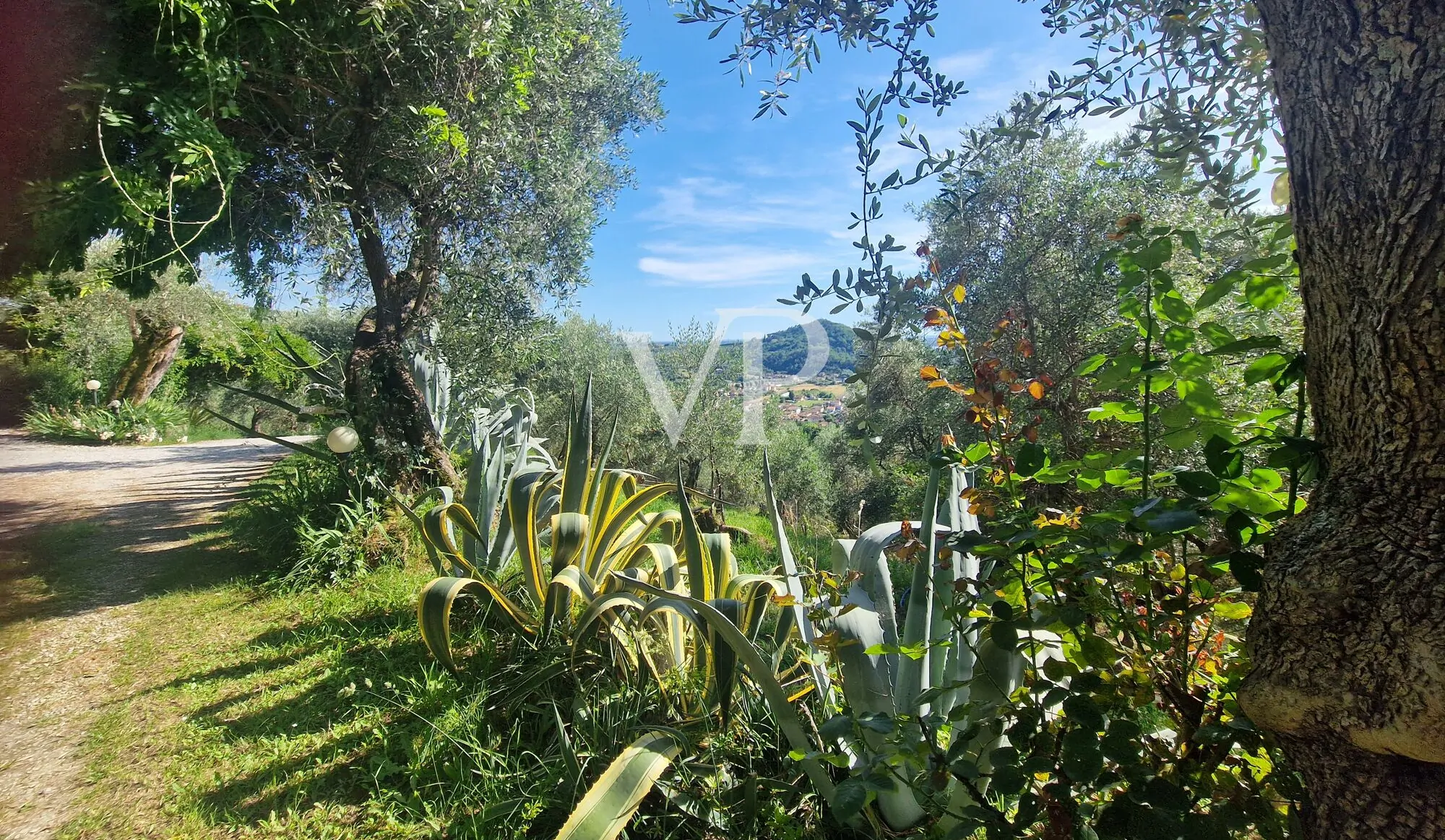 Prestigeträchtiges Agritourismus in den toskanischen Hügeln mit Schwimmbad