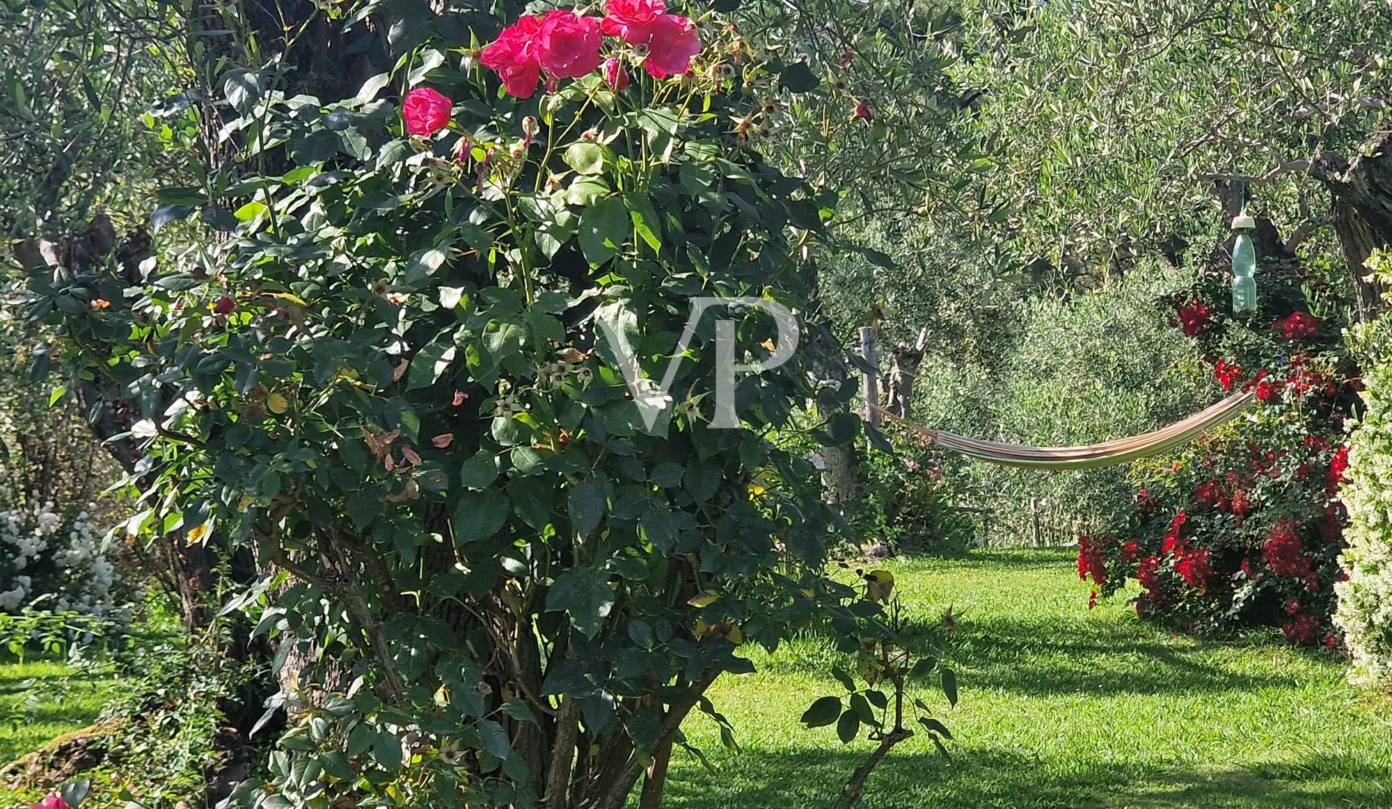 Prestigeträchtiges Agritourismus in den toskanischen Hügeln mit Schwimmbad