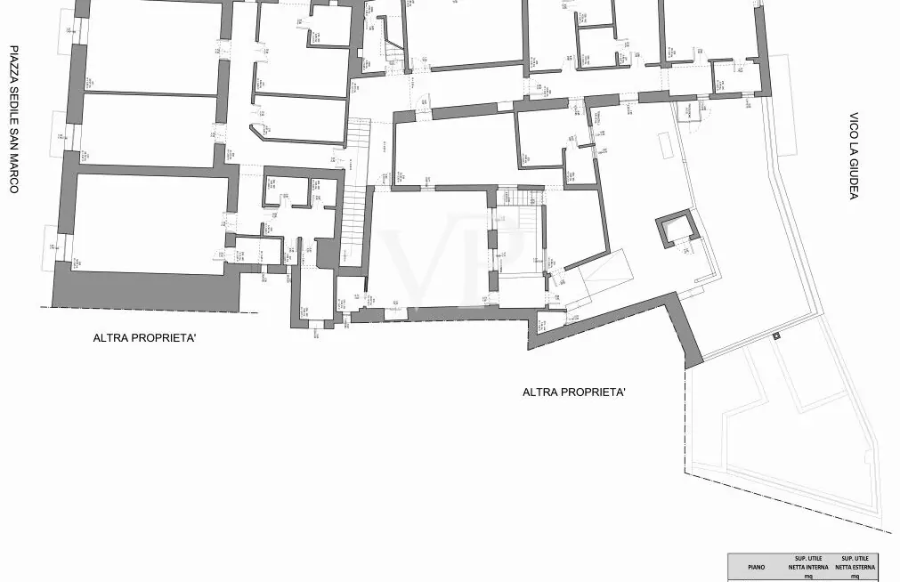 PHOTO-2025-08-04-15-35-58 copia 2