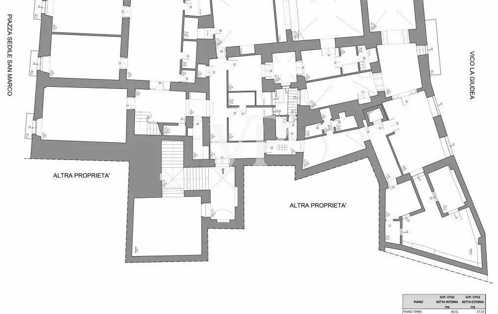 PHOTO-2025-08-04-15-35-58 copia 3