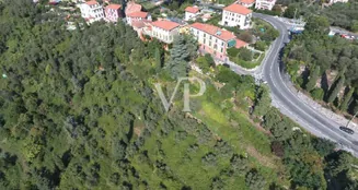 von_poll_real_estate_property_IT252942393_image_4