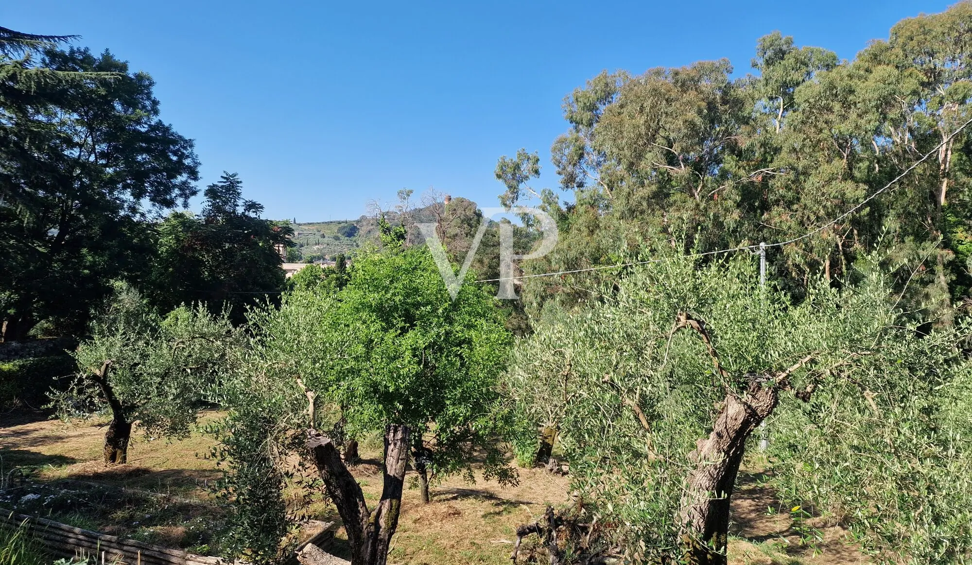 Bauernhaus in den Hügeln von Massarosa - Lucca