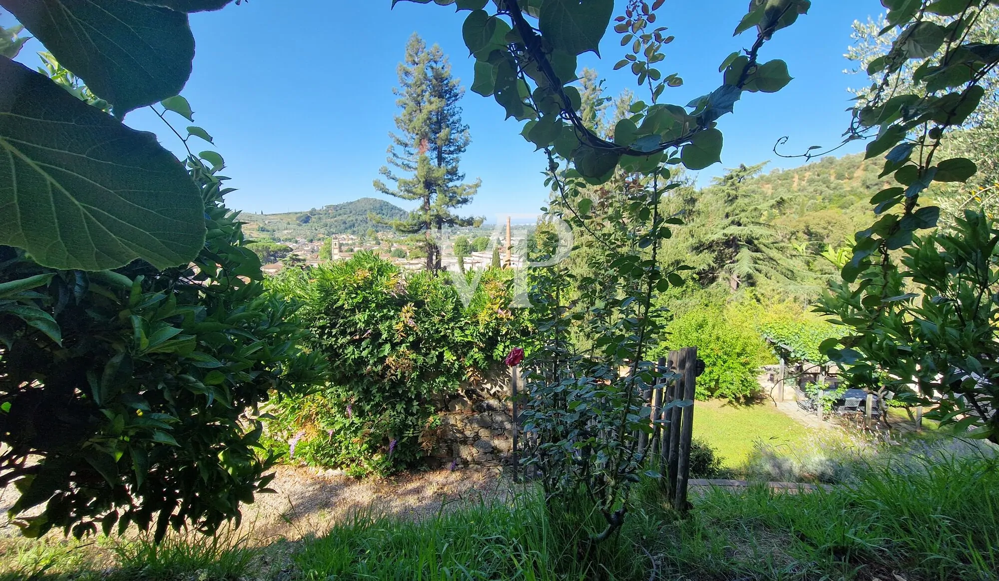 Bauernhaus in den Hügeln von Massarosa - Lucca
