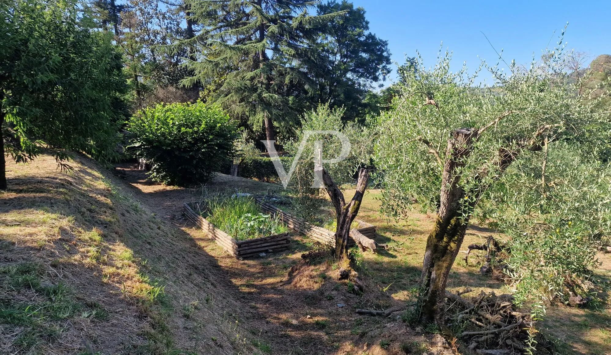 Bauernhaus in den Hügeln von Massarosa - Lucca