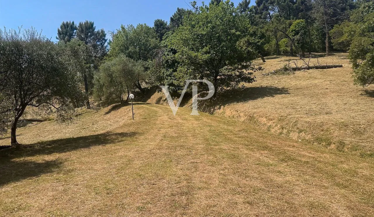 Precioso cortijo rústico en excelente estado