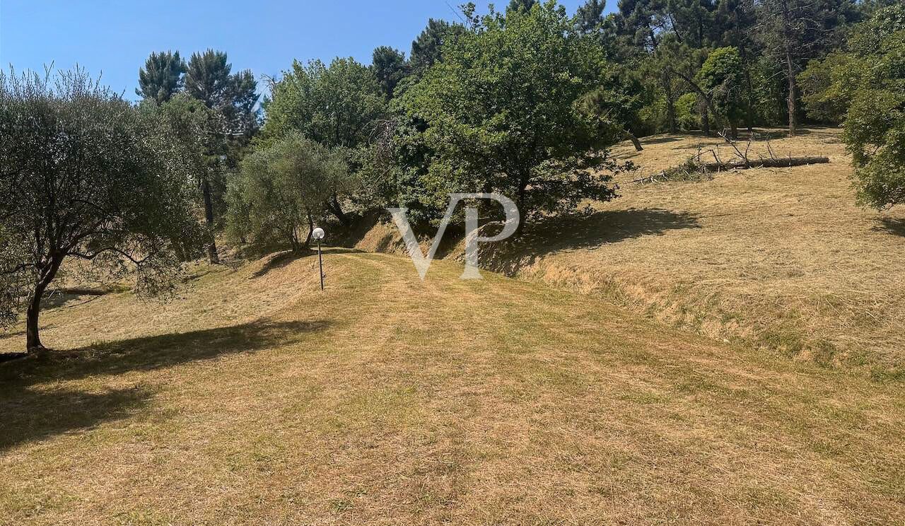 Bellissimo casale rustico in ottime condizioni