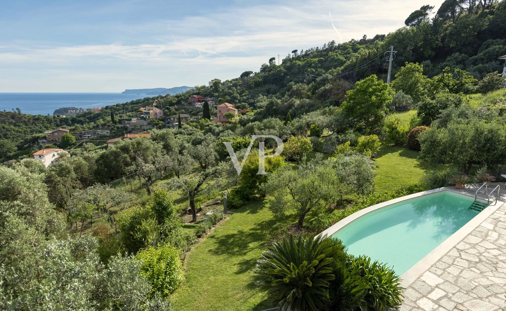 Piscina, giardino ed uliveto