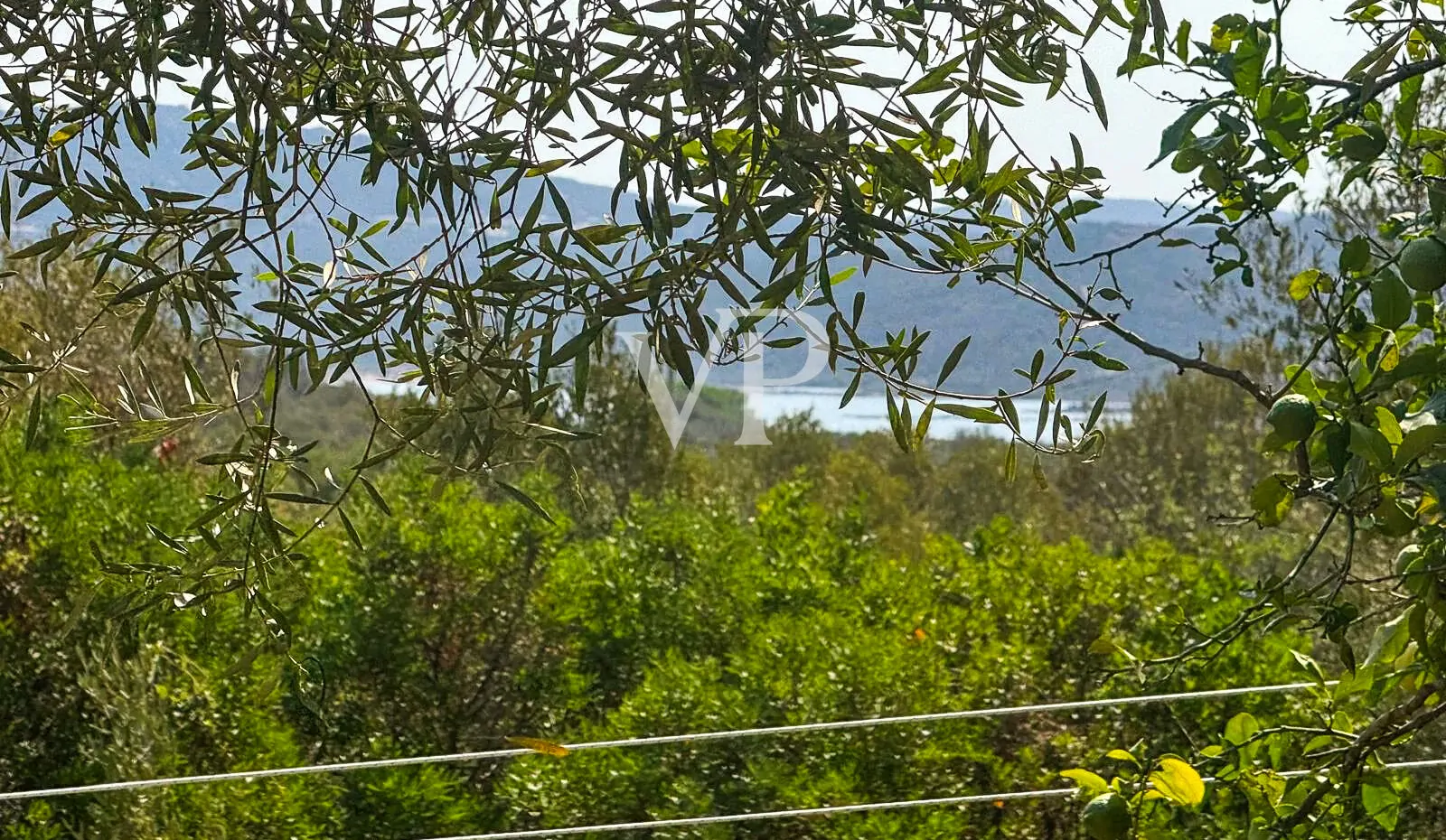 Natursteinvilla in Cugnana mit großen mediterranen Flächen