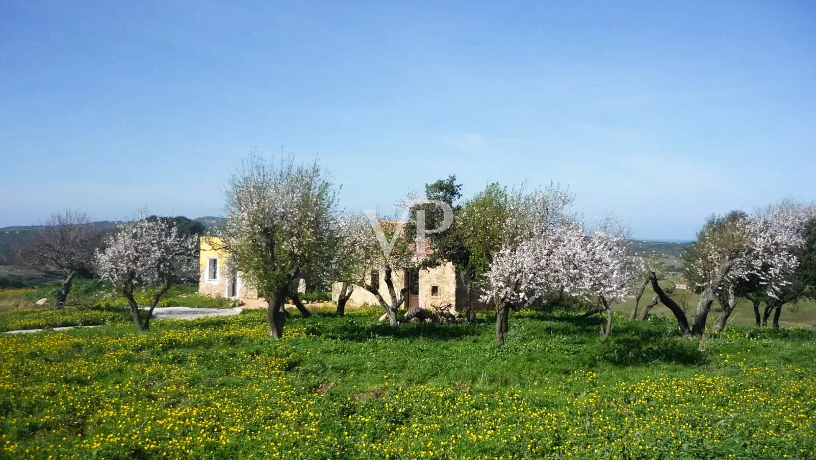 Vignola Mare - Stylish hospitality, B&B with 12 Bedrooms, Stazzo and Great Development Potential