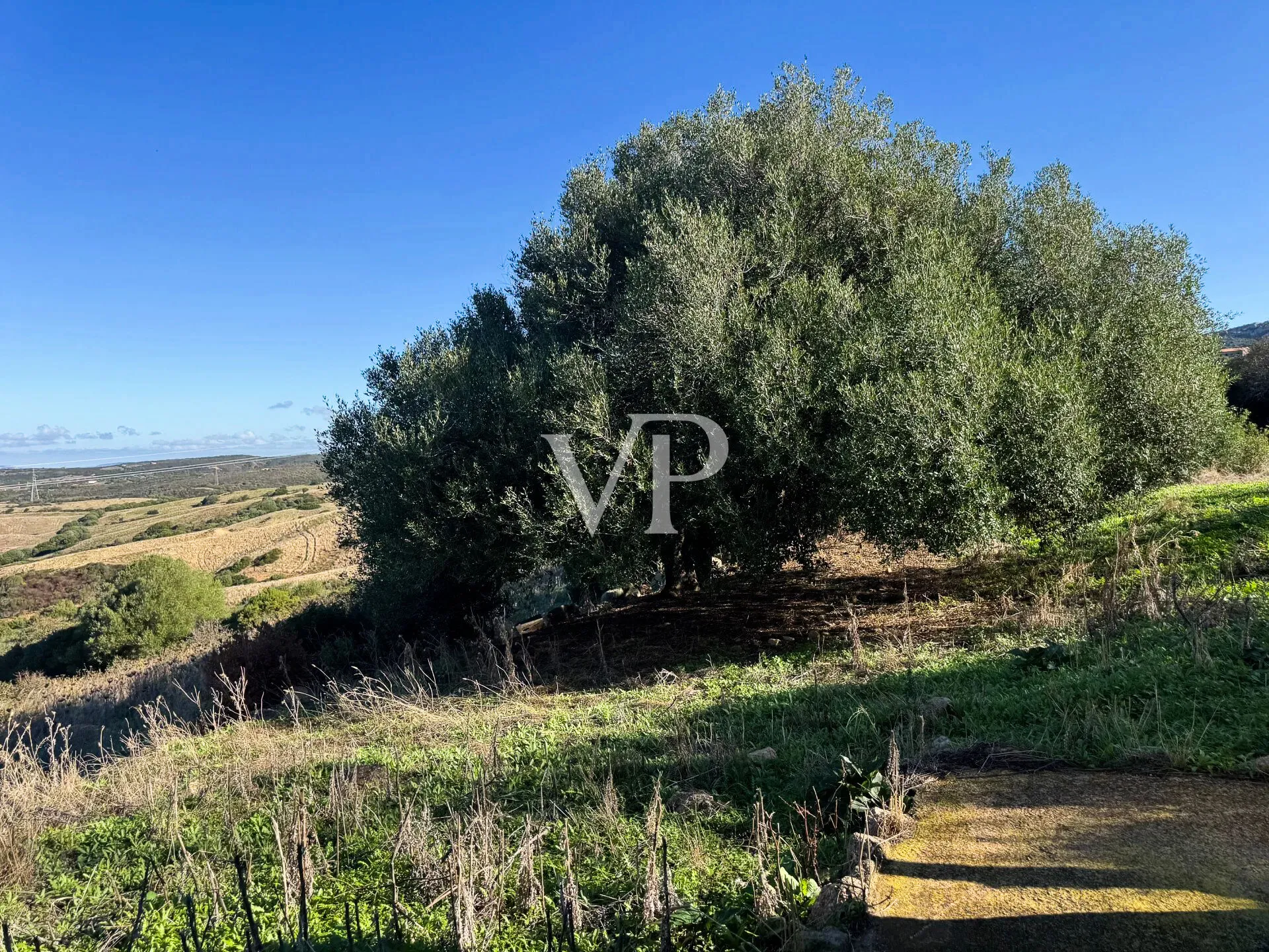 Vignola Mare - Stylish hospitality, B&B with 12 Bedrooms, Stazzo and Great Development Potential