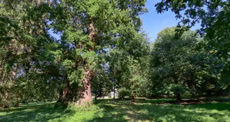 von_poll_real_estate_property_23311031_image_7