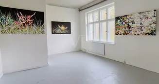 von_poll_real_estate_property_23311031_image_29