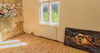 von_poll_real_estate_property_23311031_image_26