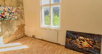 von_poll_real_estate_property_23311031_image_26