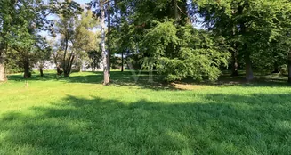 von_poll_real_estate_property_23311031_image_8