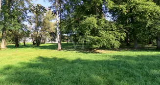 von_poll_real_estate_property_23311031_image_8