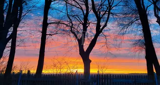 von_poll_real_estate_property_25311008_image_15