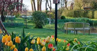 von_poll_real_estate_property_25311008_image_11