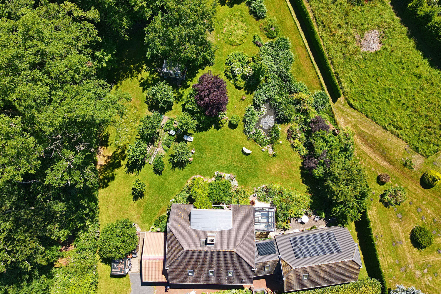 Draufsicht