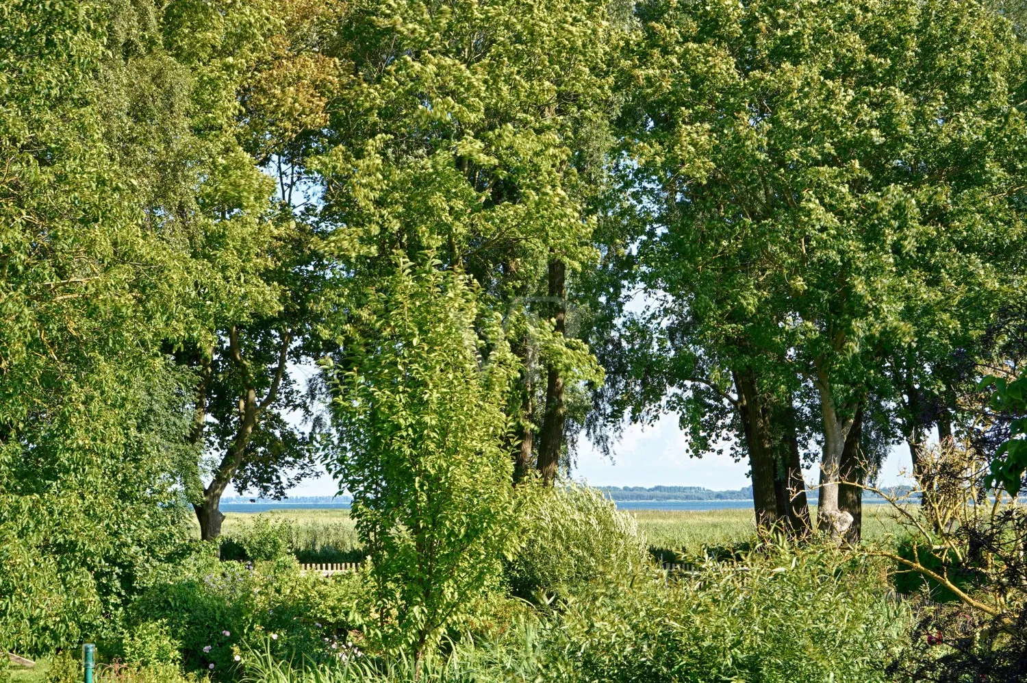 Wasserblick von der Terrasse