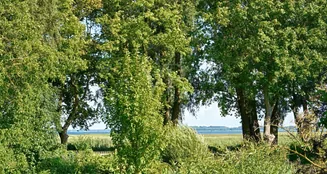 von_poll_real_estate_property_25311008_image_10