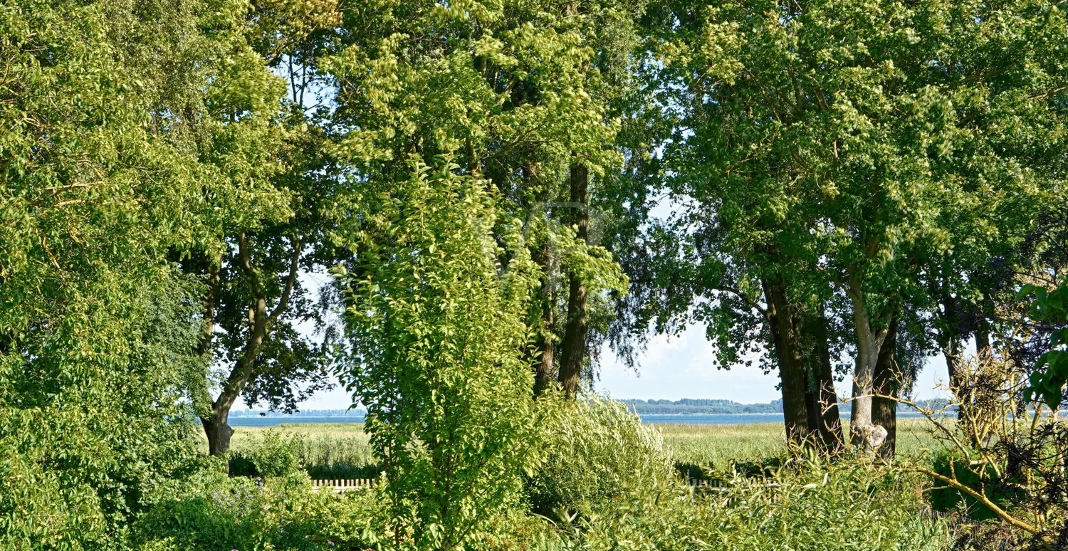 Wasserblick von der Terrasse