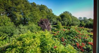 von_poll_real_estate_property_25311008_image_14