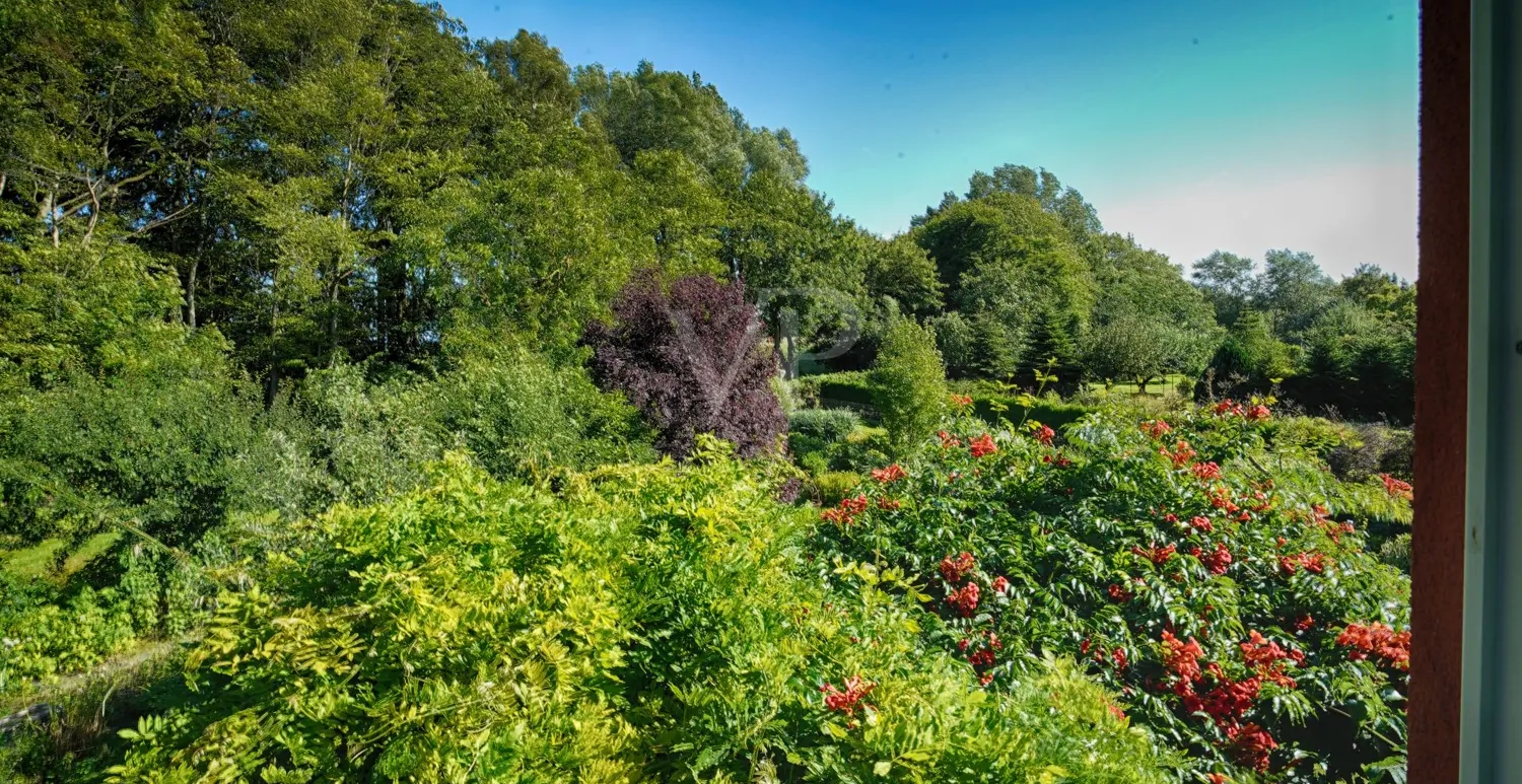 Aussicht Schlafzimmer DG