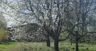 von_poll_real_estate_property_25311014_image_9