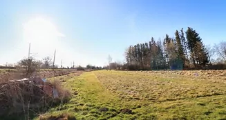 von_poll_real_estate_property_25311014_image_8