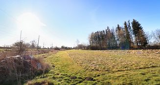 von_poll_real_estate_property_25311025_image_3