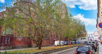 von_poll_real_estate_property_25311042_image_11