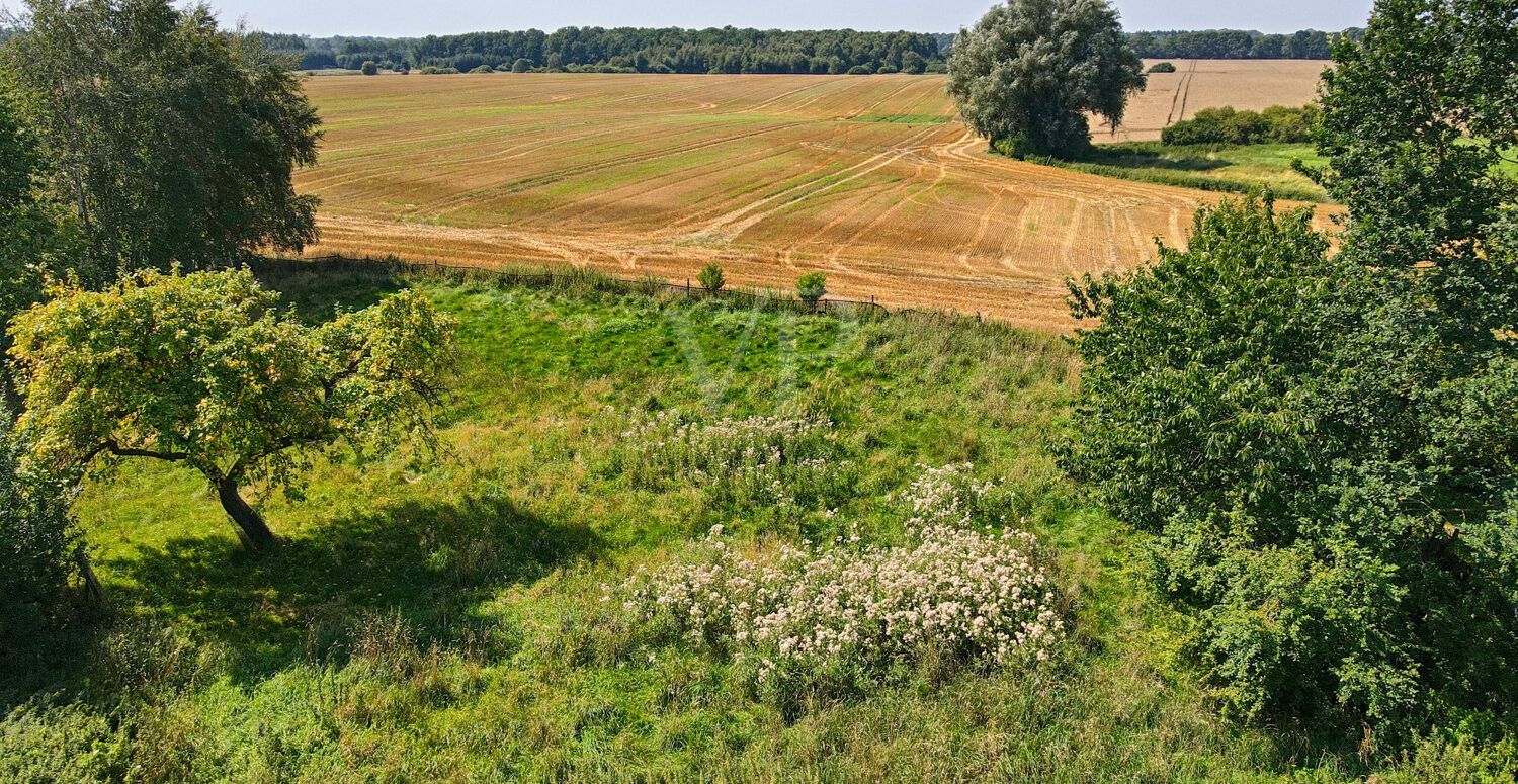 Luftaufnahmen Feld