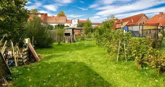 von_poll_real_estate_property_25311072_image_5