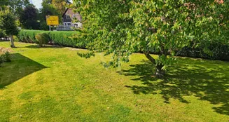 von_poll_real_estate_property_25311074_image_3