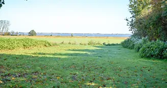 von_poll_real_estate_property_25311075_image_6