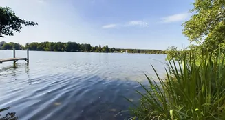 von_poll_real_estate_property_22016033_image_9