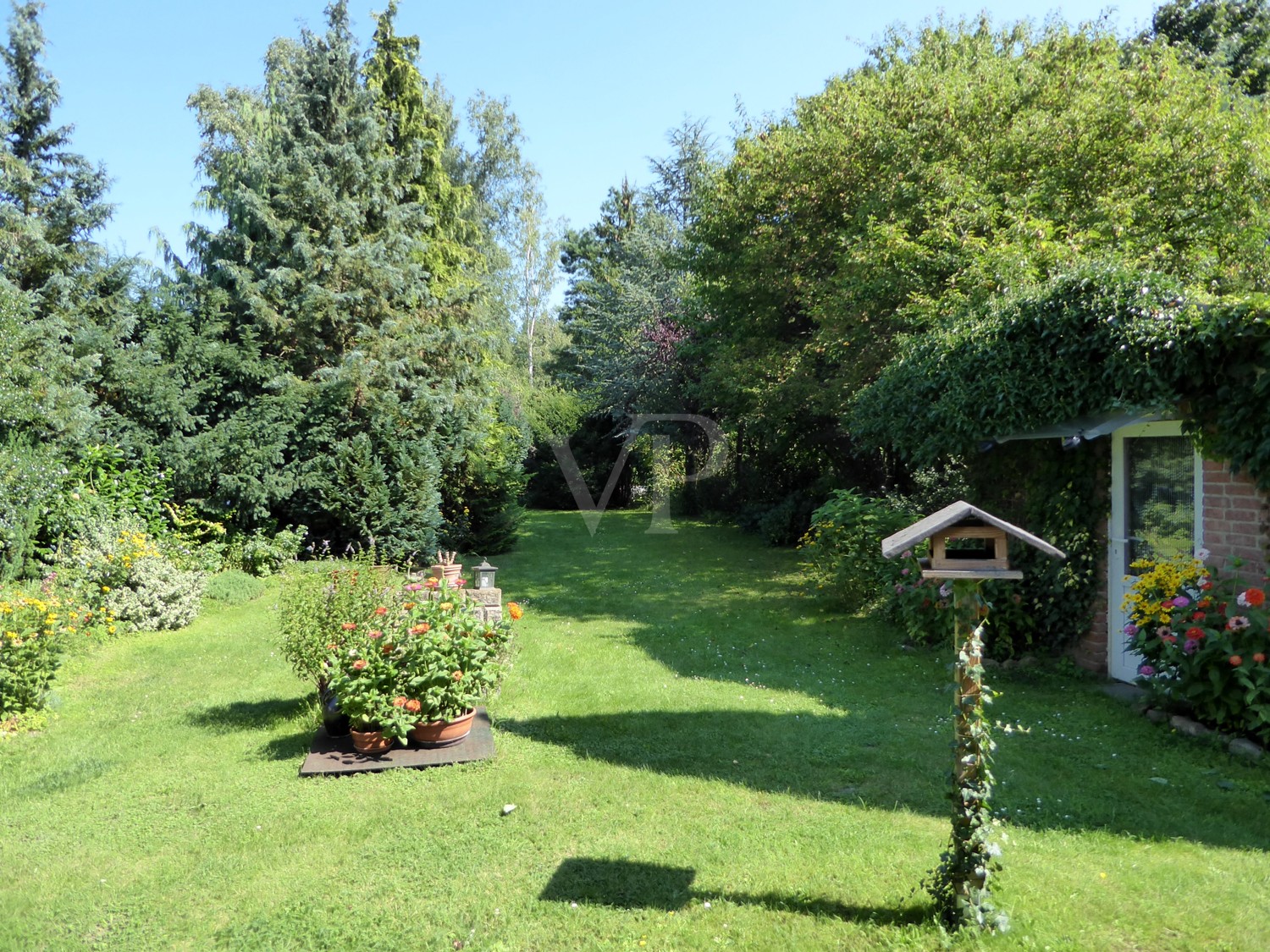 Sommerimpression Gartenansicht